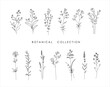 Set of cute trendy hand drawn flowers, branches, leaves. Vector line botanical arrangements for stories highlights, greeting card or invitation and logo design