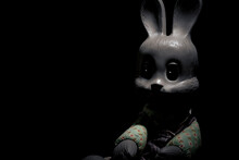 Spooky Rabbit Sits In The Dark. Creepy Toy Bunny Face