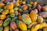 Stack of colorful ripe cocoa pod