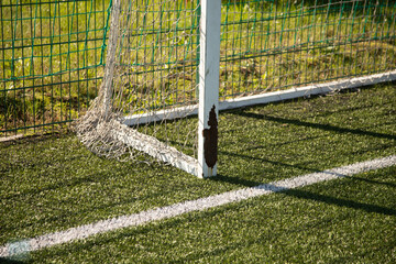 Wall Mural - soccer field with net