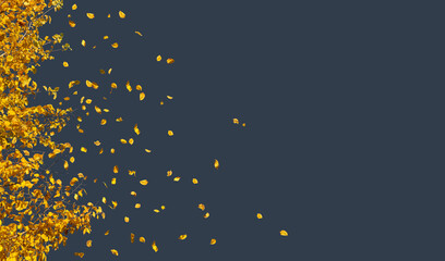 Wall Mural - Flying autumn leaves isolated on dark background. The concept of price drop or losing something.