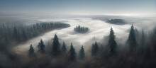 Wallpaper Moody Forest Landscape With Fog And Mist