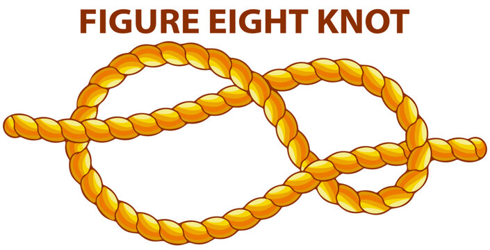 Yellow nautical rope knot, interweaving of ropes, cables, tapes or other flexible linear materials. Figure eight knot isolated on white. Household binding and fastening unit for permanent fastening
