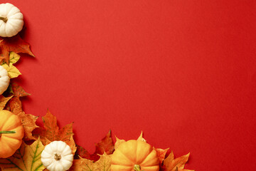Wall Mural - Autumn background. Maple leaves and pumpkins on red table. Flat lay, top view, copy space