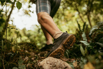 Poster - person hiking in the forest