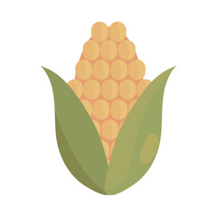 Wall Mural - corn cob icon