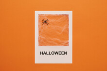 From Above View Shot Of Decorative Toy Spider With Web In White Frame With Halloween Text Printed On It, Orange Background