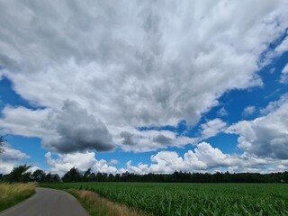 clouds over the field