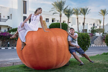 Thanksgiving, Family Holiday, Young Girl With Emotions, Sits On An Orange Pumpkin, A Young Man With A Facial Expression Tries To Push The Pumpkin. The Holiday Comes To Us