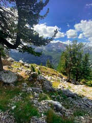 Canvas Print - Vertical view of the rocky hillside with trees in the highlands on a bright summer day