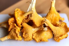 Closeup Shot Of Yellow Mushrooms For Cooking