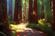 Trail through redwoods in Muir Woods National Monument near San Francisco, California, USA. High quality illustration