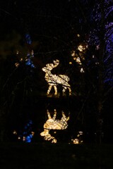 Poster - Vertical shot of the Christmas deer in the park