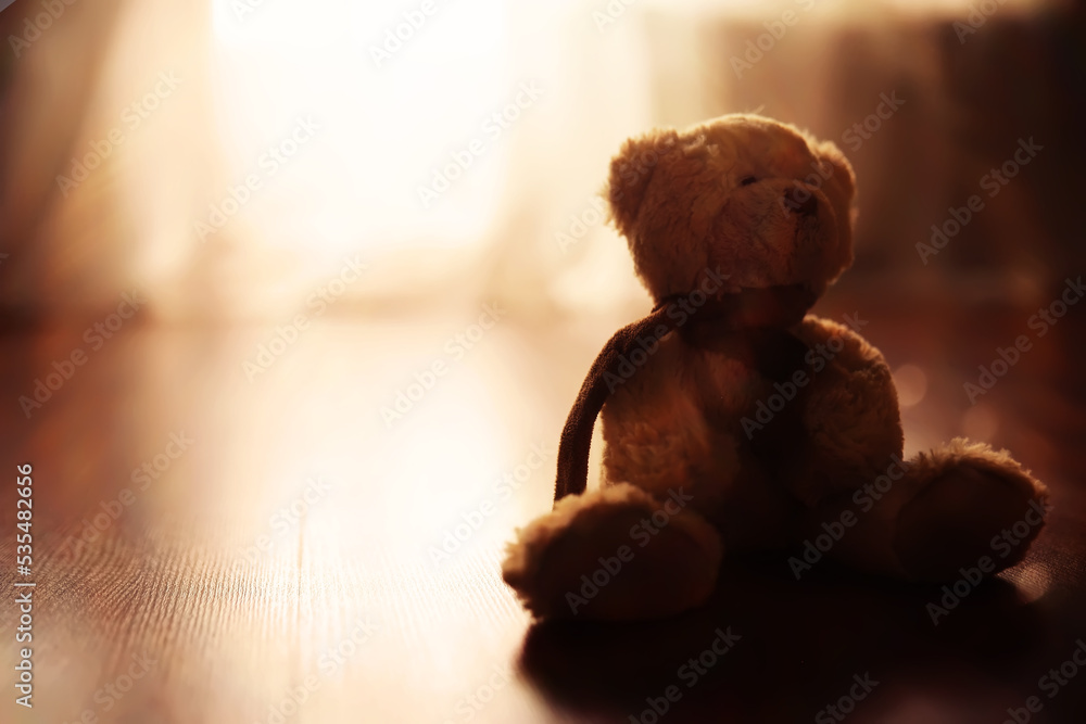 Photo Stock Rear view Teddy bear doll sitting on autum leaves at ...