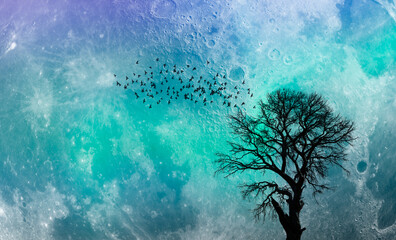Aufkleber - Silhouette of birds flying over lone tree with aurora against super moon 