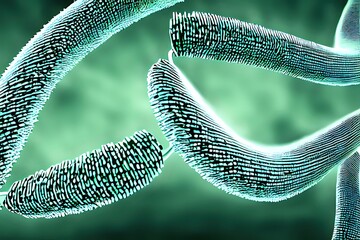 Genome sequencing DNA of Neanderthal chromosome molecule 3D structure. The 2022 Nobel Prize in Physiology Medicine for discoveries concerning genomes of extinct hominins and human evolution