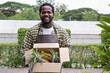 African American farmer holding vegetables in box at organic farm