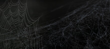 Real Creepy Spider Webs Silhouette Isolated On Black Banner Panorama - Halloween Background Template