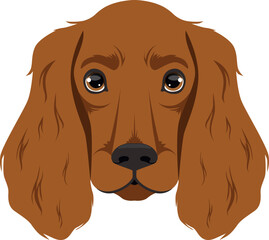 Sticker - Setter head icon. Fluffy dog cartoon face