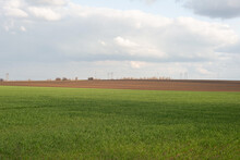 Ukrainian Landscape Of A Green Field In Spring Against A Cloudy Sky