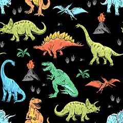 Wall Mural - Dinosaur seamless pattern. Hand drawn vector dinosaurs with background view. Pattern with Tyrannosaurus Rex, Stegosaurus, Brachiosaurus, Triceratops, and Pterodactyl cartoons.