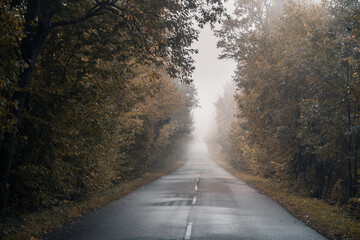 road in autumn in Belarus