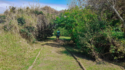 Wall Mural - person walking through the grass