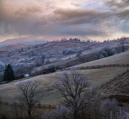 Wall Mural - winter coming. cloudy and foggy morning very late autumn mountains scene. peaceful picturesque trave