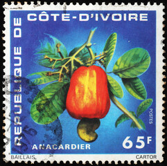 Wall Mural - Fruit of Cashiew on african postage stamp