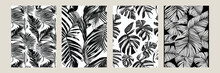 Set Exotic Leaves Seamless Pattern Black White. Stylish Abstract Vector Decorative Background. Tropical Palm Leaves, Jungle Leaf Seamless Vector Floral Pattern. Grunge Tropical Style Wallpaper.