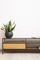 Sticker - Elegant room interior with wooden cabinet and beautiful houseplant near white wall