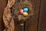 Fototapeta Boho - Painted Easter chicken eggs in a nest and willow branches. Holiday Easter concept background. High quality photo