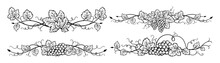 Grape vine divider bunches sketch ink set. Vintage hand drawn wine decorations border, floral grapes berry frame. Decorative elements antique vineyard ornament for packing vector design