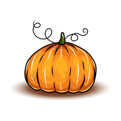 Wall Mural - Orange pumpkin, different types of Cartoon pumpkins. halloween, fall harvest gourds. Pumpkins, squash and leaves vector symbols illustrations. Autumn thanksgiving and halloween pumpkins