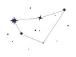 capricorn constellation astrological