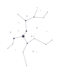 Wall Mural - sagittarius constellation astrological