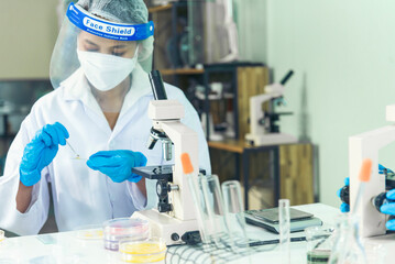 Close up Scientist woman hands look at Glass Petri Dish use Microscope research in science laboratory. Crop women hands biochemistry scientist using fungi Glass Petri Dish in laboratory chemistry lab