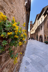 Wall Mural - Streets in the historic town Pienza in the Val d'Orcia in Tuscany, Italy.