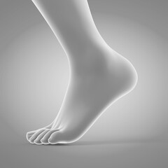 Poster - 3d rendered medically accurate illustration of a walking foot