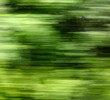 © schankz - Green nature in summer in motion.