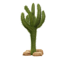 Green Cactus With Sharp Thorns.3D Rendering