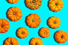 Pumpkin Minimal Background. Orange Pumpkins On Blue Creative Surface. Halloween, Autumn, Flat Lay Concept.