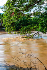 river water in rain season