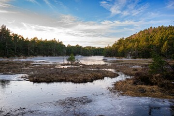 Sticker - Beautiful landscape of a lake surrounded by a dense forest on the sunset