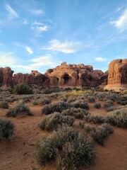 Wall Mural - Vertical shot of a rocky desert on a sunny day