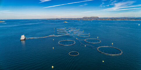 Wall Mural - Salmon fish farm in fjord near Bergen, Norway