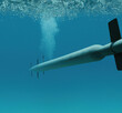 Podwodna bomba morska, torpeda.