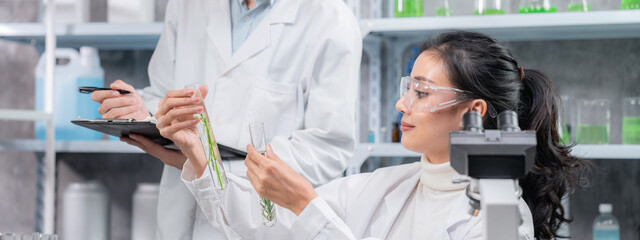 medicine biology laboratory of organic plant experiment test in glasses tube of cosmetic chemistry research medicals, chemical biotechnology science of nature leaf and green herbal oil technology