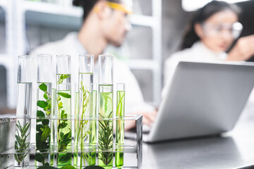 medicine biology laboratory of organic plant experiment test in glasses tube of cosmetic chemistry research medicals, chemical biotechnology science of nature leaf and green herbal oil technology