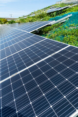 Sticker - Photovoltaic panels for renewable electrical energy production in Taiwan.